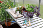 Preview: Vitavia Alu-Tisch 1 Ablage BxTxH 121x54x76cm eloxiert, freistehend
