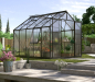 Preview: AKTION Vitavia Gewächshaus Jupiter 8300 257x32 HKP 6mm Alu schwarz + 2 Dachlüfter gratis