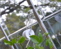 Mobile Preview: Palram-Canopia Pflanzenhalter Set für Gewächshaus