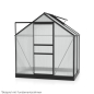 Preview: Vitavia Gewächshaus Venus 2500 BxTxH 195x131x197cm 2,5m² 4mm HKP Alu schwarz