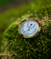 Preview: Vitavia Hygrometer - misst Temperatur und Luftfeuchtigkeit