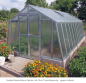 Preview: Vario Stahl Gewächshaus Junior 3 Nörpelglas 4mm BxT 249x306cm 7,5m² Moosgrün