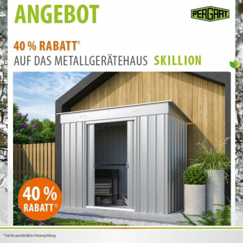 Globel Metall Gerätehaus Skillion 84 BxTxH 242x124x197cm 2,64m² Pultdach Silber