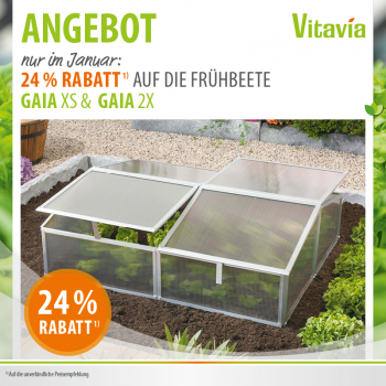 Vitavia Frühbeet Gaia 2X, mit 4 Dachfenstern 4mm HKP Außenmaß: 1,02 x 1,21 x 0,39 m