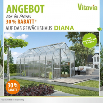 SET Vitavia Gewächshaus Diana 11500 4mm HKP 264x445 eloxiert + Fundamentsrahmen