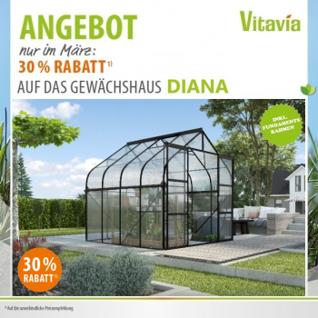 SET Vitavia Gewächshaus Diana 6700 4mm HKP 264x258cm schwarz + Fundamentsrahmen