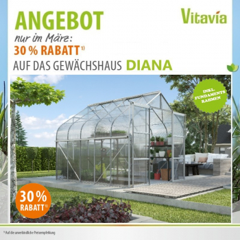 SET Vitavia Gewächshaus Diana 8300 4mm HKP 264x321cm eloxiert + Fundamentsrahmen