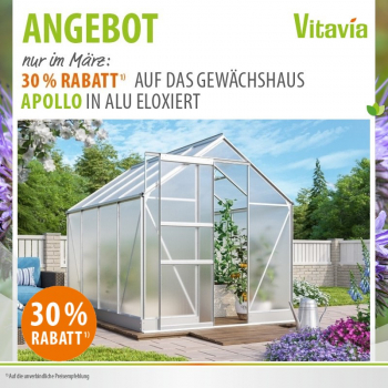 Vitavia Gewächshaus Apollo 5000 4mm HKP BxT 195x261 eloxiert + Fundamentsrahmen