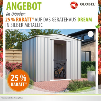 AKTION Globel Metall Gerätehaus Dream 86 BxTxH 245x185x198cm 4,1m² Silber metallic