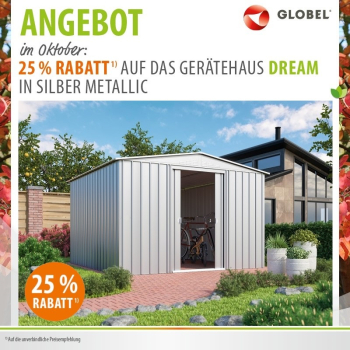 AKTION Globel Metall Gerätehaus Dream 1010 BxTxH 308x309x202cm 8,82m² Silber metallic