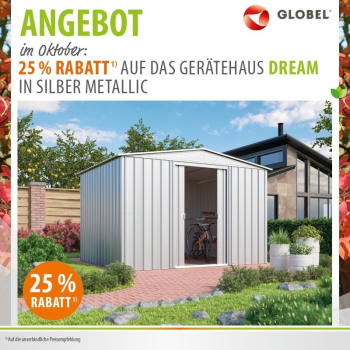 AKTION Globel Metall Gerätehaus Dream 108 BxTxH 308x247x202 6,99m² Silber metallic