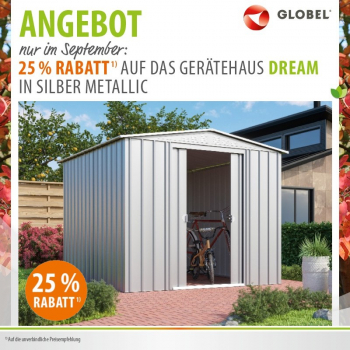 AKTION Globel Metall Gerätehaus Dream 88 BxTxH 245x247x198cm 5,55m² Silber metallic