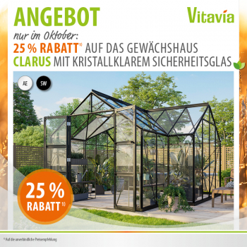 Vitavia Gewächshaus CLARUS 383x383cm 13m² ESG Glas inkl.Fundament Alu schwarz