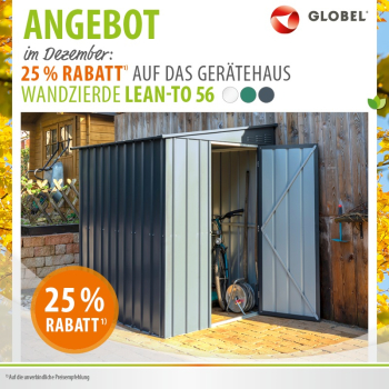 Globel Gerätehaus Fahrradschuppen Lean To 56 BxTxH 155x180x203cm Anthrazit