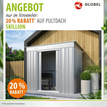 Globel Metall Gerätehaus Skillion 84 BxTxH 242x124x197cm 2,64m² Pultdach Silber