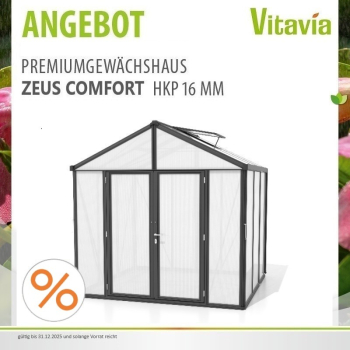 Vitavia Gewächshaus Zeus Comfort 6200 16mm HKP BxT 258x242cm 6,2m² Alu schwarz