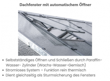 Vario Stahl Gewächshaus Maxi 4,5 Nörpelglas 4mm BxL 426x452cm 19m² grün