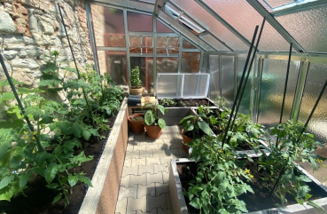 Preview: Vario Stabiles Stahl Anlehngewächshaus EMIL Nörpelglas Breite: 275cm Längen: 300-450-600-750cm