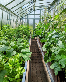 Vario Stabiles Stahl Anlehngewächshaus EMIL Nörpelglas Breite: 275cm Längen: 300-450-600-750cm