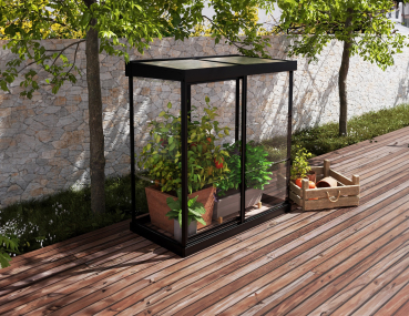 Palram-Canopia Mini Gewächshaus IVY LxBxH 64x124x150cm Alu Schwarz Polycarbonat