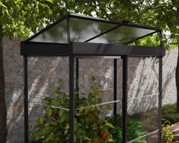 Palram-Canopia Mini Gewächshaus IVY LxBxH 64x124x150cm Alu Schwarz Polycarbonat