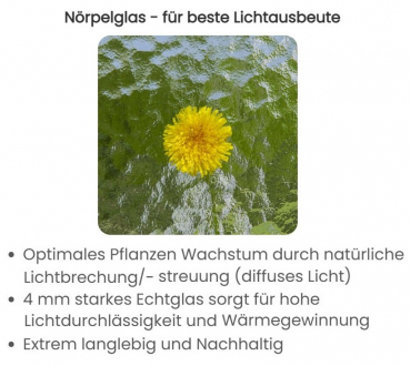 Vario Stahl Gewächshaus Landhaus 3 Nörpelglas 4mm BxL:303x303cm 9m² Anthrazit