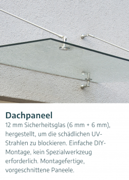 Palram-Canopia Türvordach TAURUS 1500 150x90cm 12mm ESG Glas Edelstahl