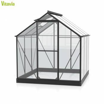 Vitavia Gewächshaus Triton 3800 ESG Glas BxT 198x193cm schwarz + Fundamentsrahmen