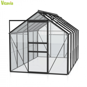 Vitavia Gewächshaus Venus 6200 BxTxH 195x321x197cm 6,2m² ESG Glas Alu schwarz