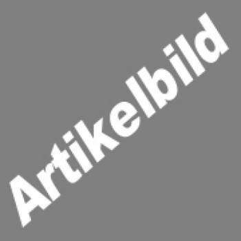 TESTARTIKEL