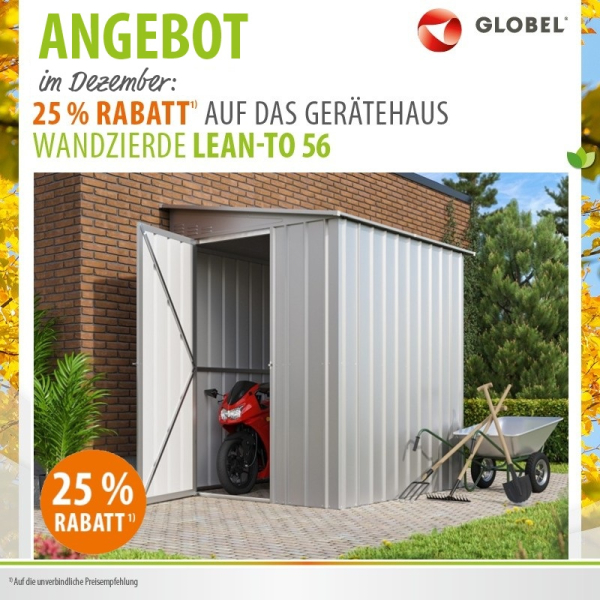 Globel Gerätehaus Fahrradschuppen Lean To 56 BxTxH 155x180x203cm Silber