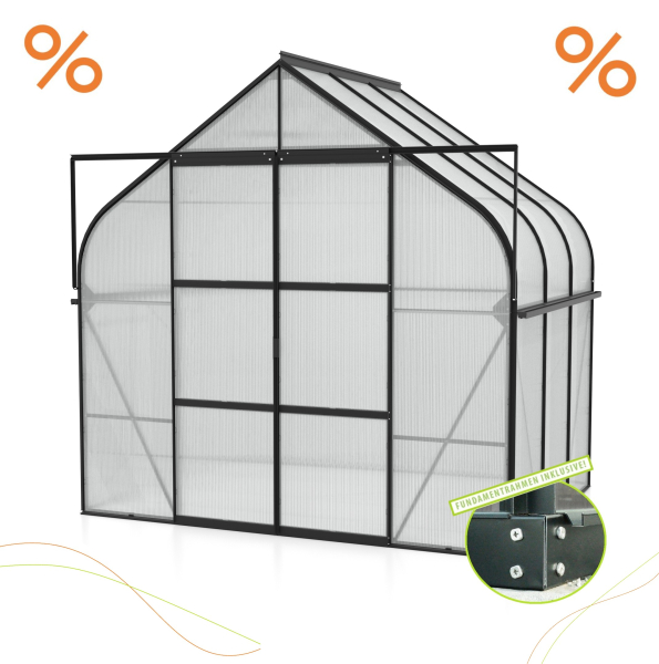 AKTION SET Gewächshaus Diana 5000 4mm HKP 264x195 Alu schwarz + Fundamentsrahmen