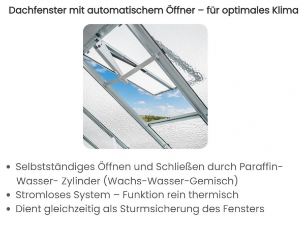 Vario Stahl Gewächshaus Landhaus 3 Nörpelglas 4mm BxL:303x303cm 9m² Anthrazit