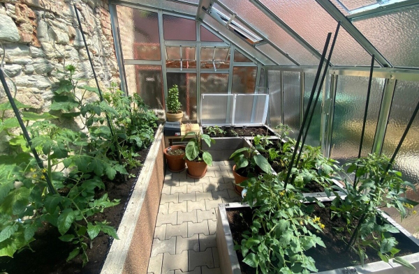 Vario Stabiles Stahl Anlehngewächshaus EMIL Nörpelglas Breite: 275cm Längen: 300-450-600-750cm