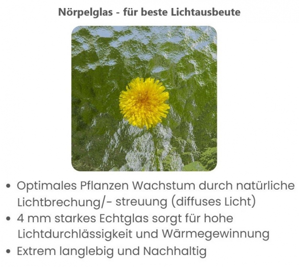 Vario Stahl Gewächshaus Hobby S 7 Nörpelglas 4mm BxL 197x650cm 12,8m² verzinkt
