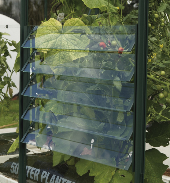 Vitavia Lamellen-Wandfenster Alu smaragd 3mm ESG Sicherheitsglas