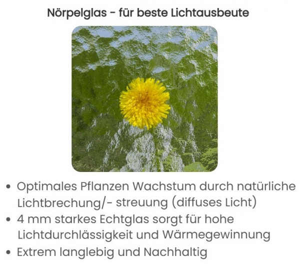 Vario Stahl Gewächshaus Landhaus 3 Nörpelglas 4mm BxL:303x303cm 9m² Anthrazit