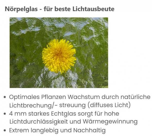Vario Stahl Anlehngewächshaus Domus 4,5 Nörpelglas BxL 212x452cm 9,5m² verzinkt