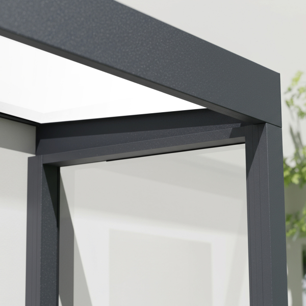 Palram-Canopia Tür Vordach Sophia 1600 (95x160cm) + 1 Seitenwand, Paneel Opal/Klar