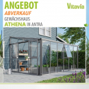 Vitavia Anlehngewächshaus Athena 10200 ESG/HKP TxB 266x397cm 10,2m² anthrazit